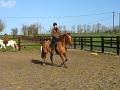 Galop 1 08 mars 2008 phot 6